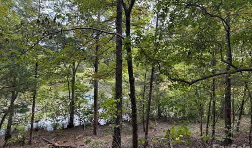 Photo #2 of 357 Pendergrass, York, SC