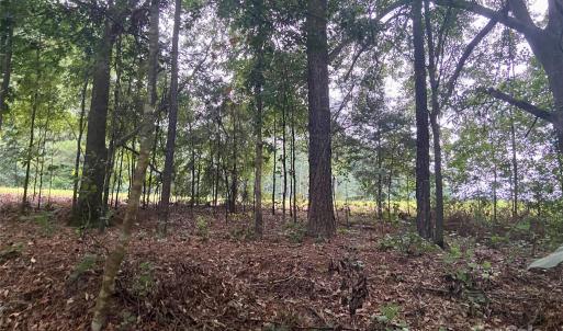 Photo #4 of 15194 Cove Point, Norwood, NC