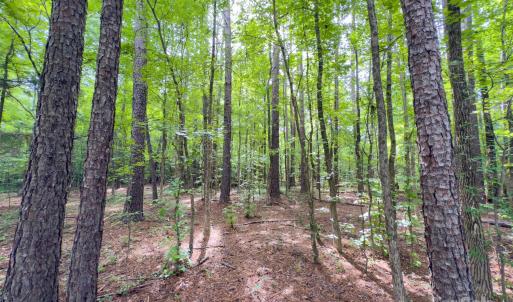 Photo #13 of Powell, Lancaster, SC