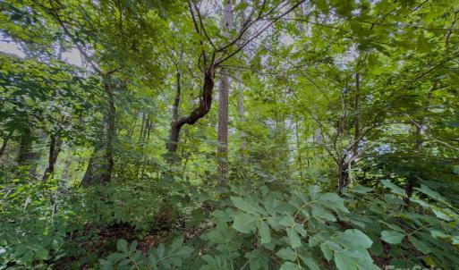 Photo #7 of Powell, Lancaster, SC