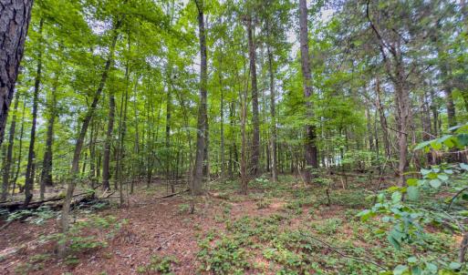 Photo #18 of Powell, Lancaster, SC