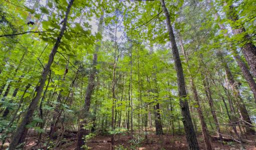 Photo #12 of Powell, Lancaster, SC