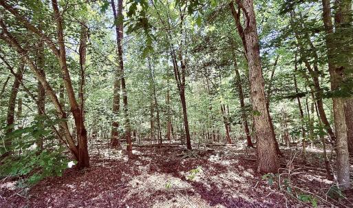 Photo #4 of Margie, Norwood, NC