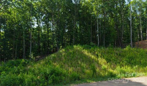 Photo #4 of Honey Tree, Kannapolis, NC