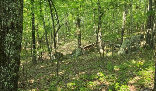 Photo #8 of Hoke, Heath Springs, SC