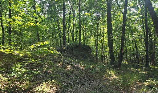 Photo #2 of Hoke, Heath Springs, SC