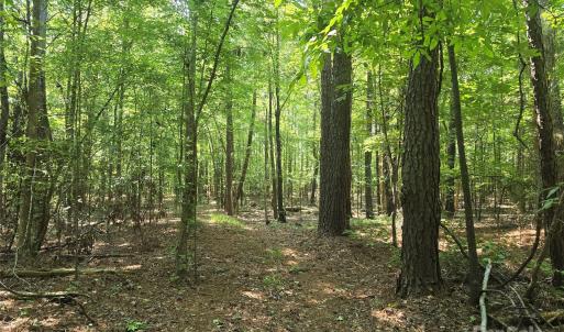 Photo #4 of Hoke, Heath Springs, SC