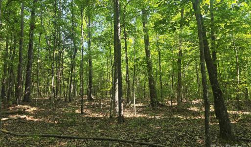 Photo #9 of Hoke, Heath Springs, SC