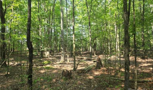 Photo #7 of Hoke, Heath Springs, SC