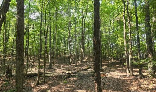 Photo #13 of Hoke, Heath Springs, SC