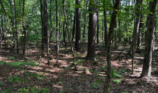 Photo #15 of Hoke, Heath Springs, SC