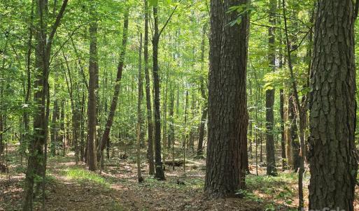 Photo #3 of Hoke, Heath Springs, SC