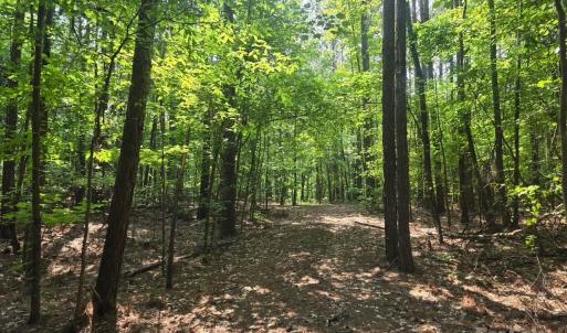 Photo #12 of Hoke, Heath Springs, SC