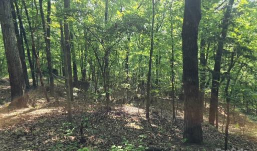 Photo #14 of Hoke, Heath Springs, SC