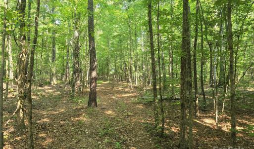 Photo #5 of Hoke, Heath Springs, SC