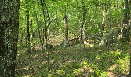 Photo #7 of Hoke, Heath Springs, SC
