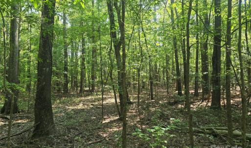 Photo #5 of Hoke, Heath Springs, SC