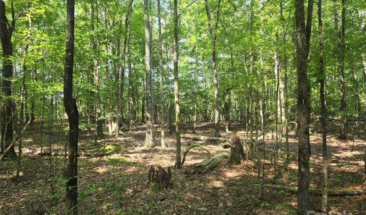 Photo #6 of Hoke, Heath Springs, SC