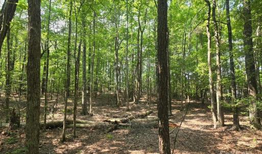 Photo #12 of Hoke, Heath Springs, SC