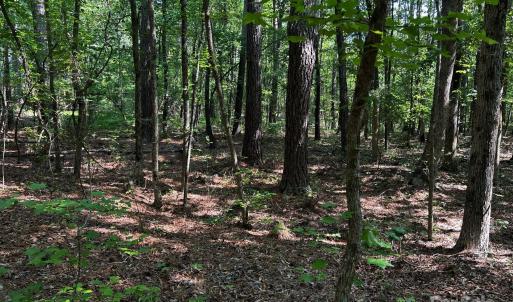 Photo #14 of Hoke, Heath Springs, SC
