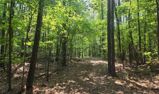 Photo #11 of Hoke, Heath Springs, SC