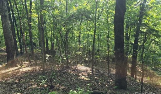 Photo #13 of Hoke, Heath Springs, SC