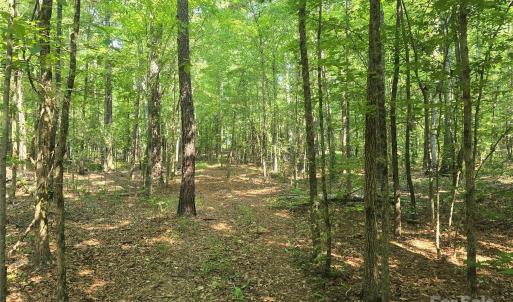 Photo #4 of Hoke, Heath Springs, SC