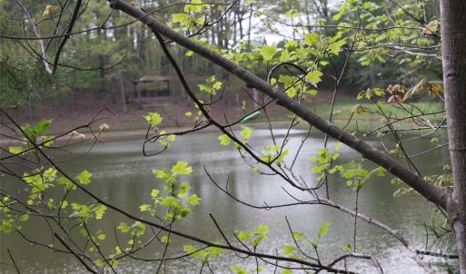 Photo #4 of 808 Bellegray, Clover, SC