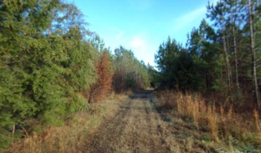 Photo #9 of 104 Ac Cedarhurst, Chester, SC