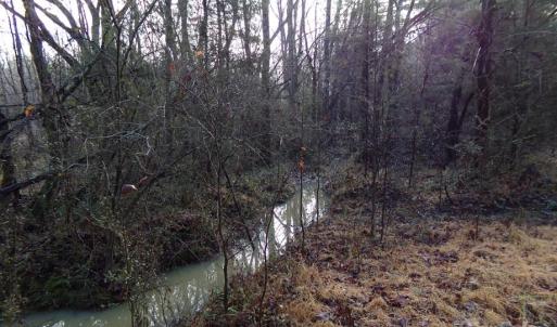 Photo #11 of 104 Ac Cedarhurst, Chester, SC