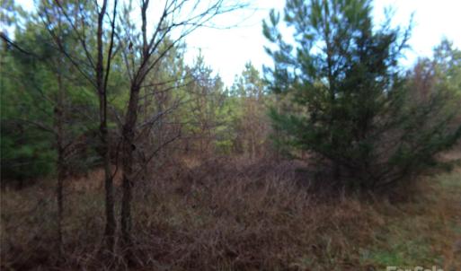 Photo #12 of 104 Ac Cedarhurst, Chester, SC