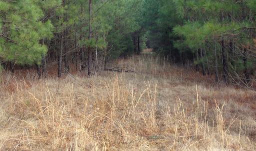 Photo #14 of 104 Ac Cedarhurst, Chester, SC