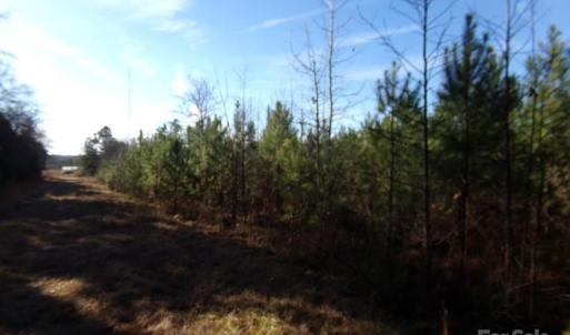 Photo #13 of 104 Ac Cedarhurst, Chester, SC