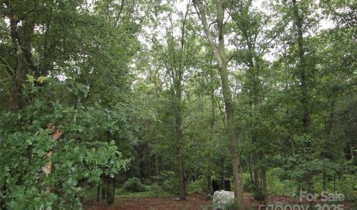 Photo #2 of TBD Rainbow, Wadesboro, NC