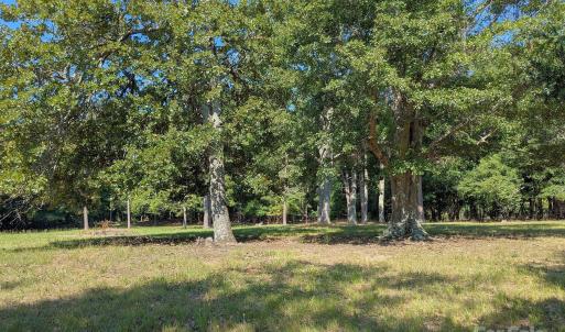 Photo #2 of 0000 Tract #1A Roddey, Catawba, SC
