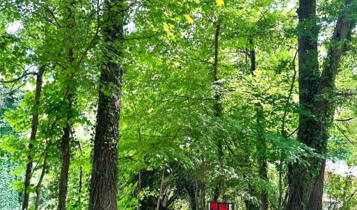 Photo #4 of 704 Gem, Kannapolis, NC