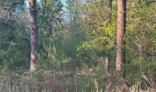 Photo #21 of 11155 & 11165 Highway 52, Rockwell, NC