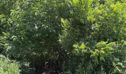 Photo #4 of Lot 4 AND 5 Elliot, Chester, SC