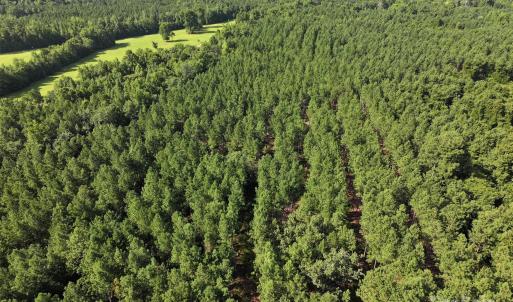 Photo #3 of CHESTERFIELD, Wadesboro, NC