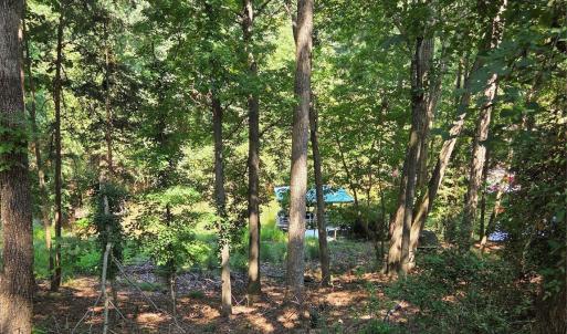 Photo #7 of 3110 Point Clear, Tega Cay, SC