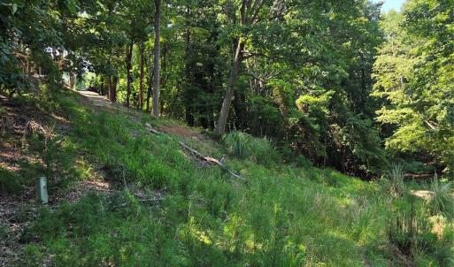 Photo #10 of 3110 Point Clear, Tega Cay, SC