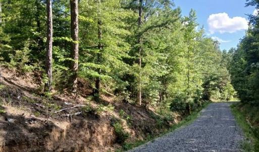 Photo #11 of 776 North Springs, Blackstock, SC