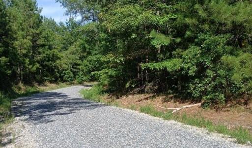 Photo #9 of 776 North Springs, Blackstock, SC
