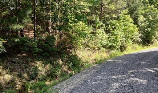 Photo #13 of 776 North Springs, Blackstock, SC