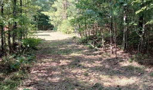 Photo #3 of 776 North Springs, Blackstock, SC
