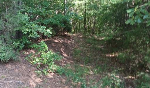 Photo #18 of 776 North Springs, Blackstock, SC