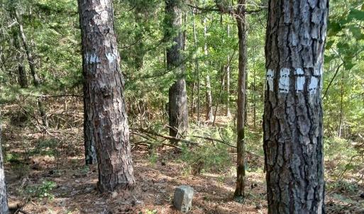 Photo #5 of 776 North Springs, Blackstock, SC