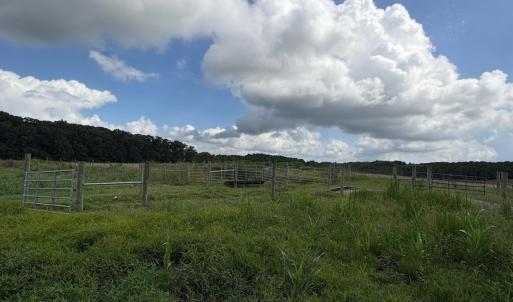 Photo #5 of Vac Eddins Poplin, Norwood, NC