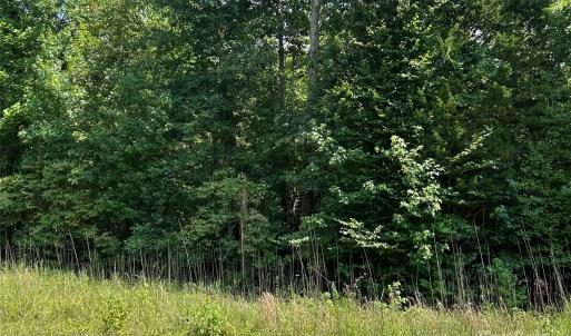 Photo #5 of Cabal, Sharon, SC