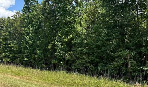 Photo #3 of Cabal, Sharon, SC